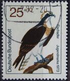 [Youth Hostel - Birds, тип UA]