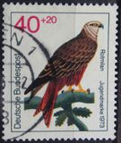 [Youth Hostel - Birds, тип UC]