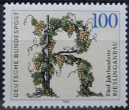 [The 500th Anniversary of the Viticulture of Riesling, tip ATT]