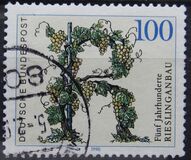 [The 500th Anniversary of the Viticulture of Riesling, tip ATT]