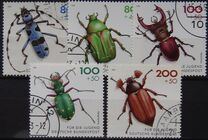 [Youth Hostel - Insects, Scrivi BCI]