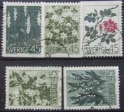 [Wild Flowers, type HO]