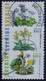 [Spring flowers - Self-Adhesive Stamps, type BQR]