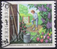[Summer at the Allotment, Tip BVN]
