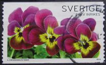 [Flowers - Pansies, type CGM]