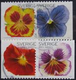 [Flowers - Self Adhesive, type CGN]