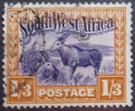[Local Motifs, type AE]