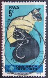 [The 100th Anniversary of Animal Welfare Association, տեսակ DM]