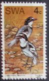 [Native Birds, type EI]
