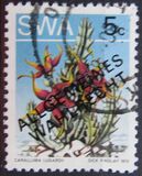 [Universal Suffrage, Typ DW2]