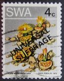 [Universal Suffrage, Typ DV1]