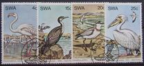 [Water Birds, Tipo GQ]