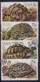 [Tortoises, ประเภท IW]