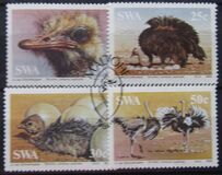 [South African Ostrich, τύπος KU]