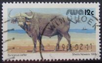 [Wild Mammals, type KY]