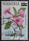 [Flora and Fauna Stamp of 1997 Surcharged, type HC2]