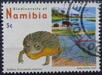 [Flora and Fauna - Biodiversity of Namibia, Tip UA]
