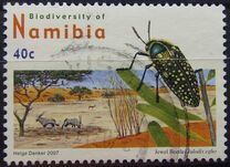 [Flora and Fauna - Biodiversity of Namibia, Tip UD]