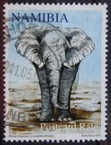 [Wildlife - The Big Five, type ZJ]