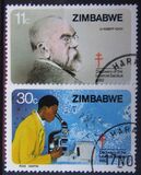 [The 100th Anniversary of Dr. Robert Koch's Discovery of Tubercle Bacillus, type AN]