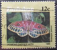 [Moths of Zimbabwe, type DK]