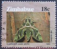 [Moths of Zimbabwe, type DL]