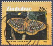 [Moths of Zimbabwe, type DM]