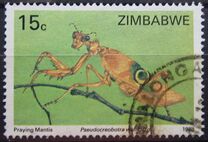[Insects, tip EO]