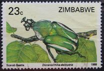 [Insects, tip EP]