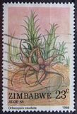 [Aloes, տեսակ EZ]