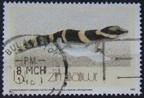 [Geckos, type FK]