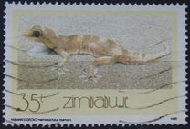 [Geckos, type FM]