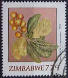 [Wild Fruits, tegund IB]