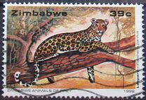 [Wildlife Conservation - Big Cats, 유형 IJ]