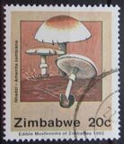 [Edible Mushrooms, тип IM]