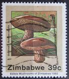 [Edible Mushrooms, тип IN]