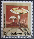 [Edible Mushrooms, тип IO]
