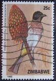 [Birds, タイプ IS]