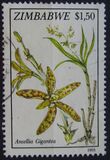 [Orchids, tip JW]