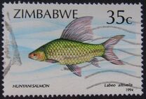 [Fish, tegund JY]