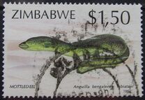 [Fish, tegund KB]