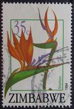 [Export Flowers, տեսակ KK]