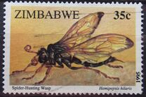 [Insects, Вид LN]