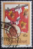 [Indigenous Flowering Trees, тып MB]