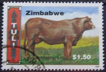 [Cattle Breeds, type MX]