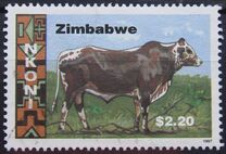[Cattle Breeds, type MY]