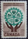 [Natural Resources, տեսակ IT]