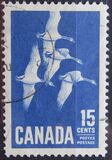 [Canada Geese, type JI]