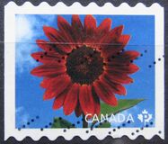 [Flora - Sunflowers. Self Adhesive Stamps, tip CXA]