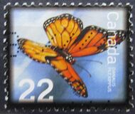 [Insects - Monarch Butterfly, type DFR]